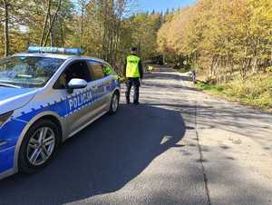 Umundurowany policjant w kamizelce odblaskowej i radiowóz.