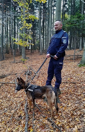 Przewodnik psa tropiącego i pies