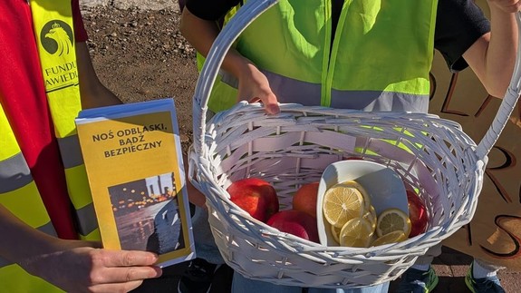 W koszyku jabłka i cytryny i po lewej stronie ulotka z napisem Noś odblaski bądź bezpieczny