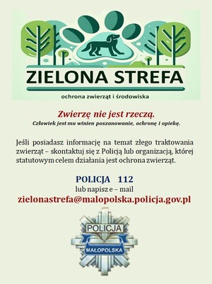 Zielona strefa plakat