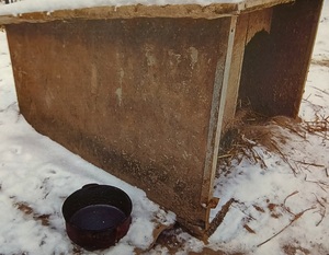 Buda dla psa i pusta miska