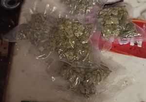 Zabezpieczona marihuana