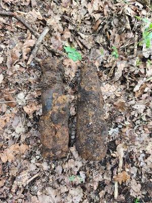 dwa pociski altylerysjskie 75 mm, które leżą na podłożu leśnym