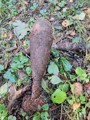 Na liściach pocisk moździerzowy