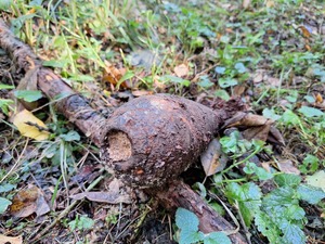 Pocisk moździerzowy
