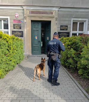Policjant z psem służbowym na tle wejścia do szkoły