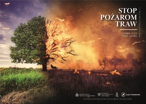 Na zdjęciu po prawej stronie widać palące się w połowie drzewo i trawy, w prawym górnym rogu napis Stop pożarom traw, po lewej stronie połowa drzewa i zielone trawy