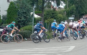 Rowerzyści jadący w wyścigu kolarskim. Jadą po drodze, w tle krzewy i drzewa.